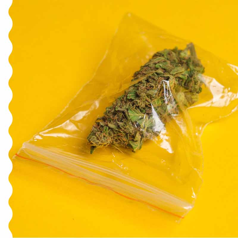 plastic-containers-for-weed-2