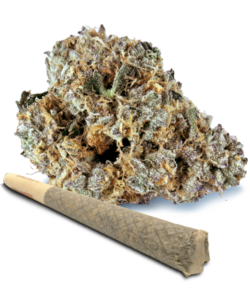 vanilla-wafer-500x600 Nug & PreRoll