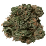 Blue Dream<br><span class='hybrid'> HYBRID </span><br><span class='terpenes'>coming soon</span>