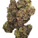 Hash Burger<br><span class='indica'> INDICA </span><br><span class='terpenes'>coming soon</span>