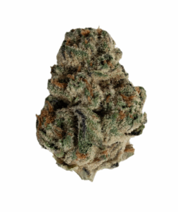 belushis-farm-Cadillac-Rainbows-flower-strain